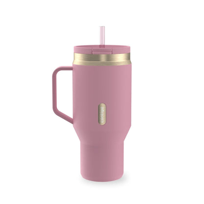 Contigo 30 oz Stainless Steel Water Bottle Tumbler with Straw - Leakproof Insulated Water Bottle