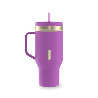 Contigo 30 oz Stainless Steel Water Bottle Tumbler with Straw - Leakproof Insulated Water Bottle